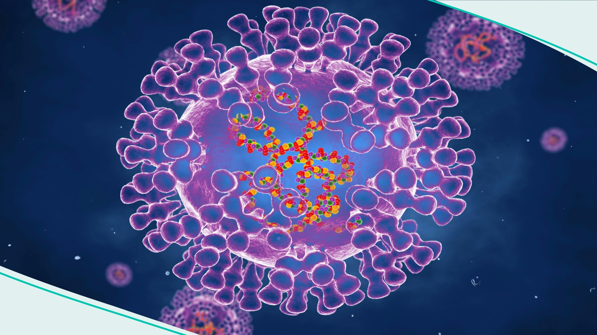 Pox virus, illustration.