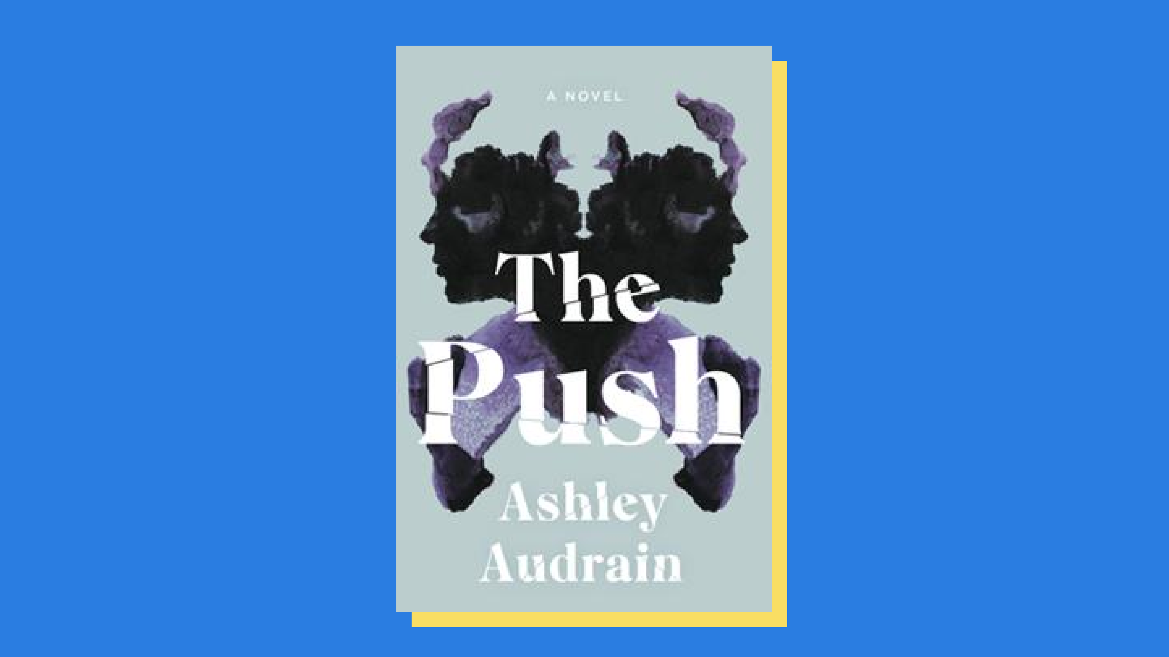“The Push” by Ashley Audrain