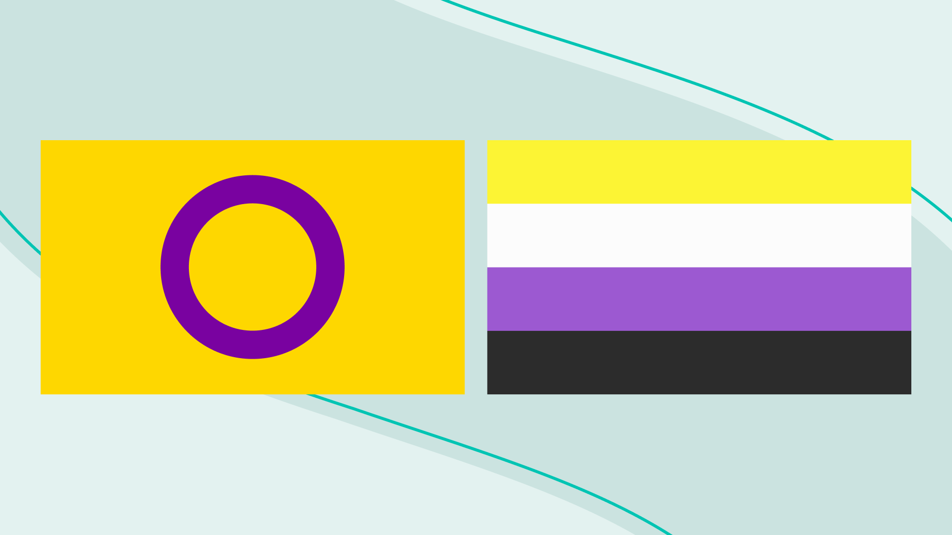 The Intersex and Non-Binary Flags