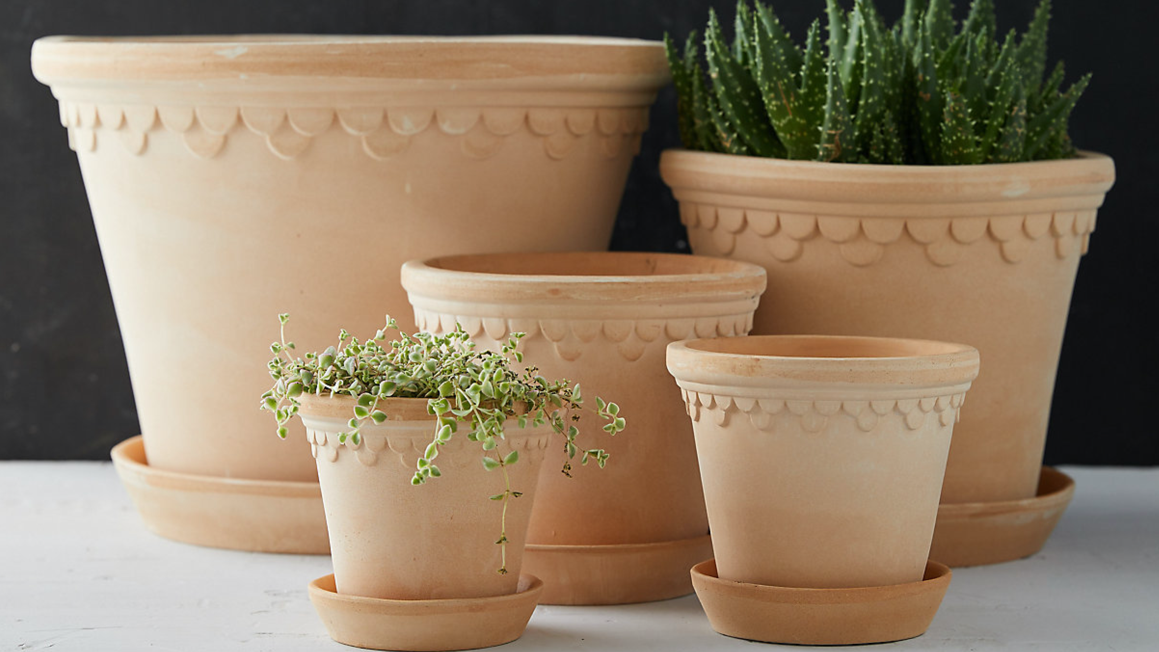 pots for plants with saucers