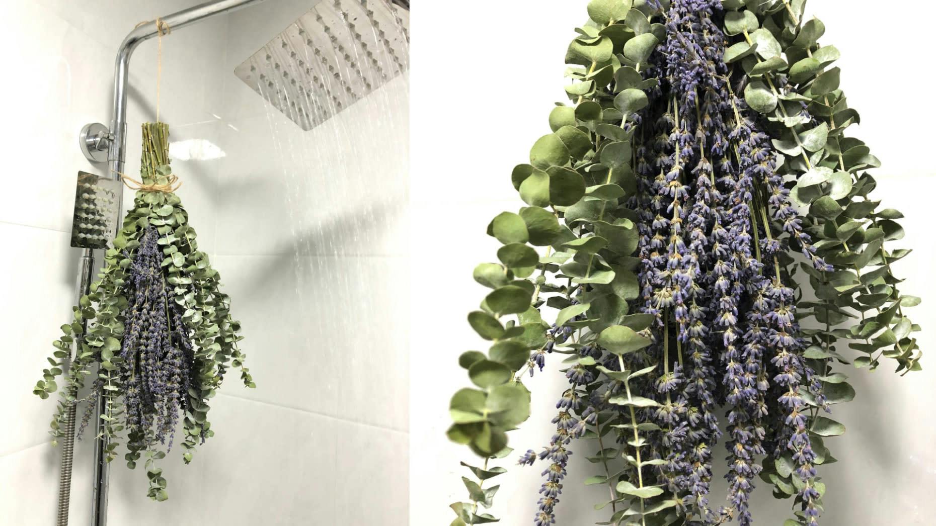 A eucalyptus and lavender bundle to bring spa vibes to your shower…