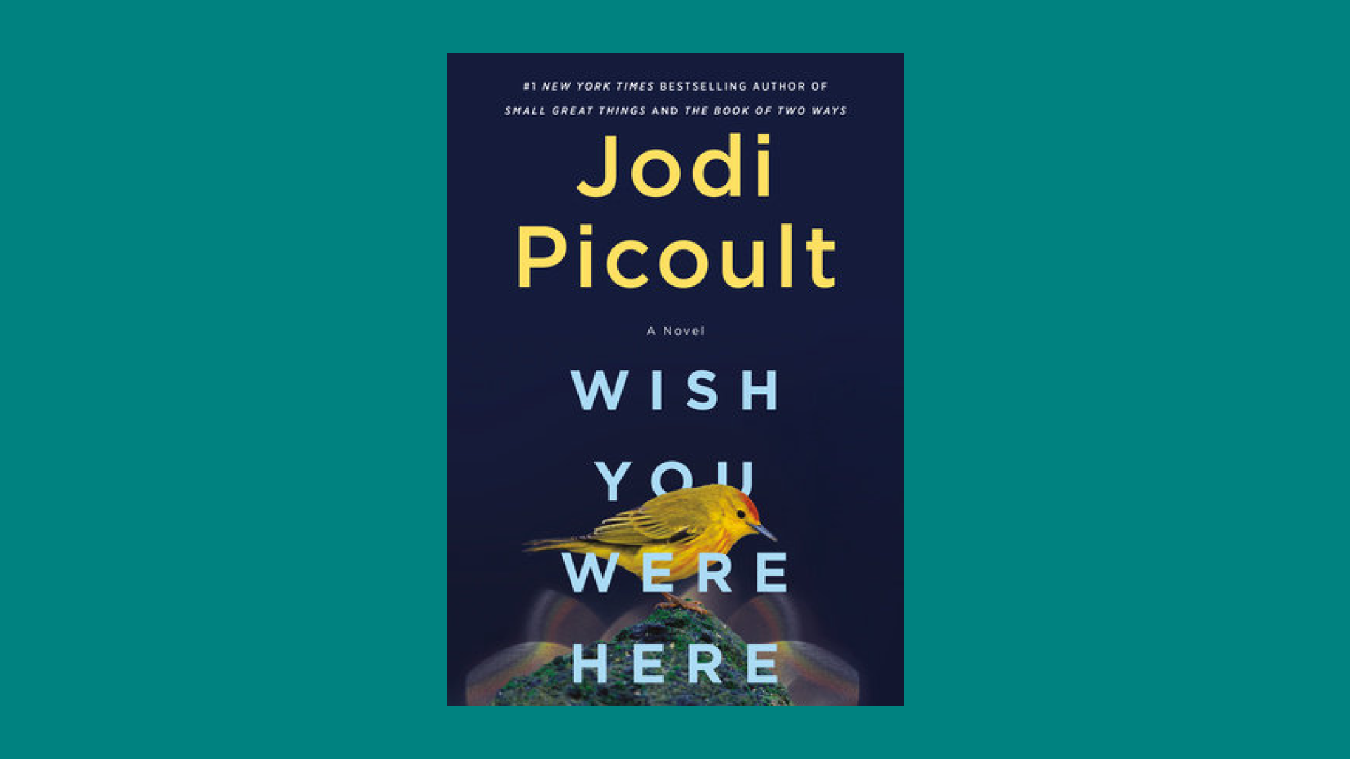 “Wish You Were Here” by Jodi Picoult