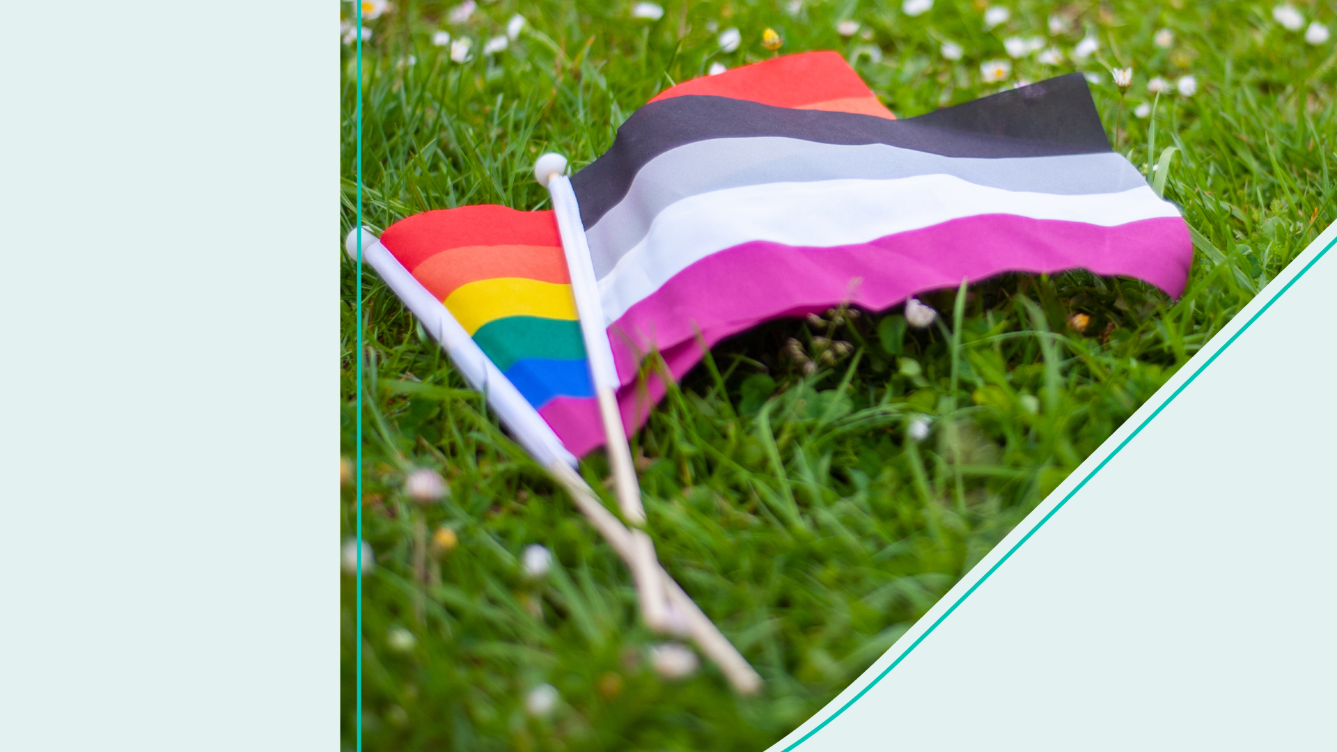 The LGBTQ+ flag and the Asexuality flag on grass 