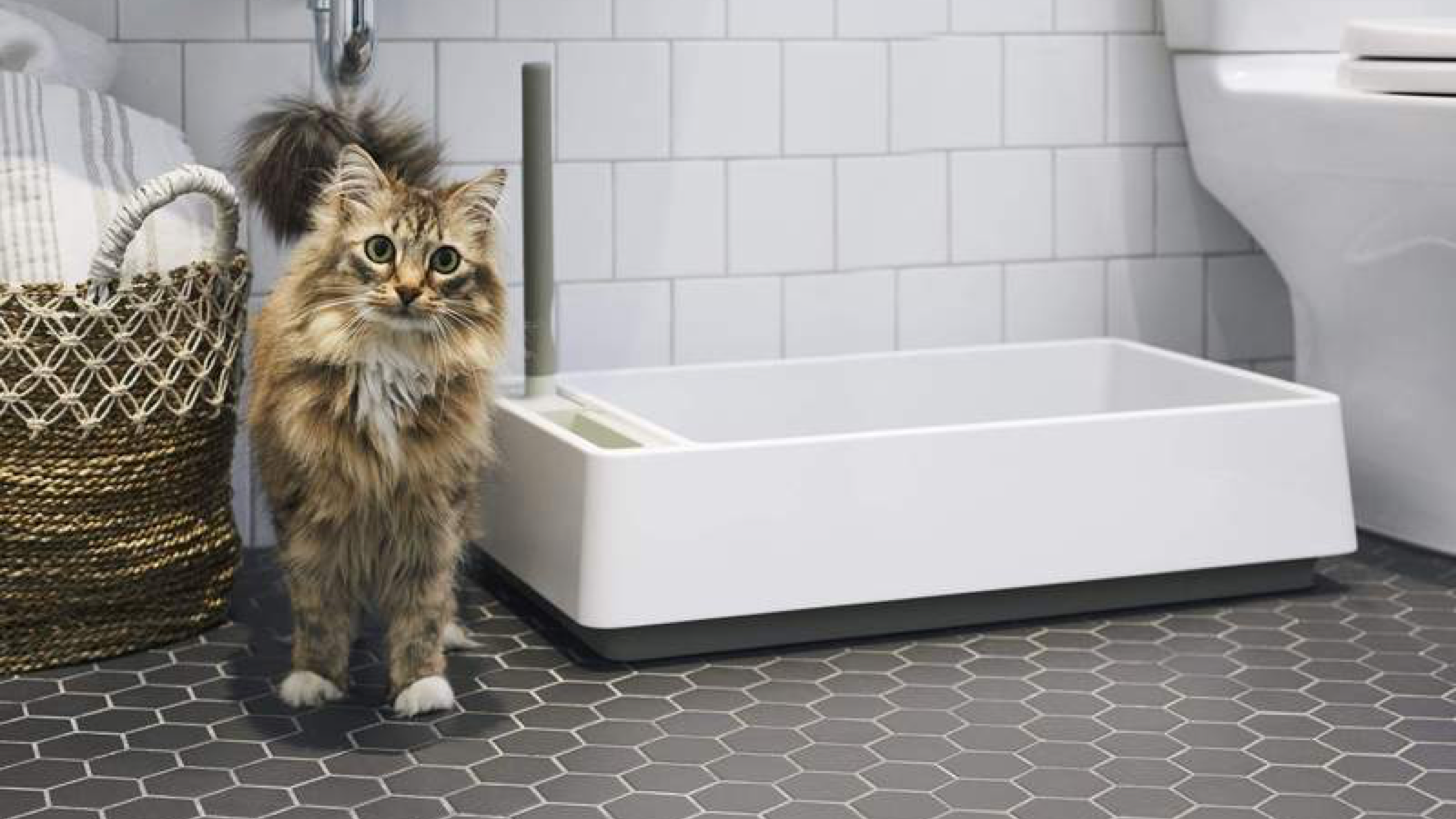 white and gray modern litter box for cats