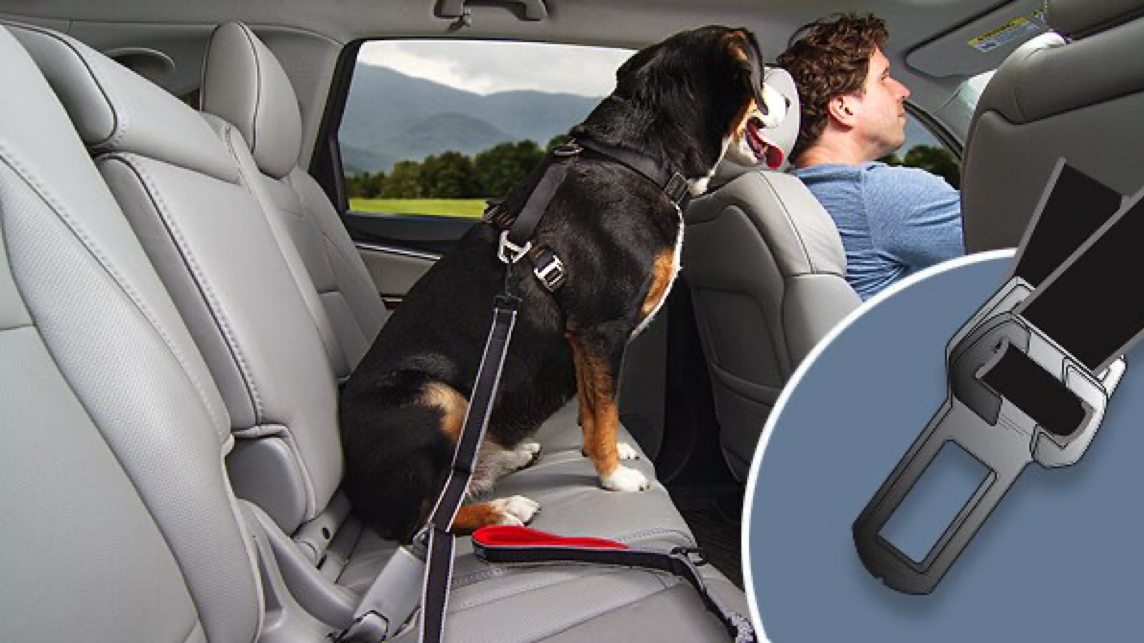 leash attachment that buckles your dog into the backseat so they don't slide around
