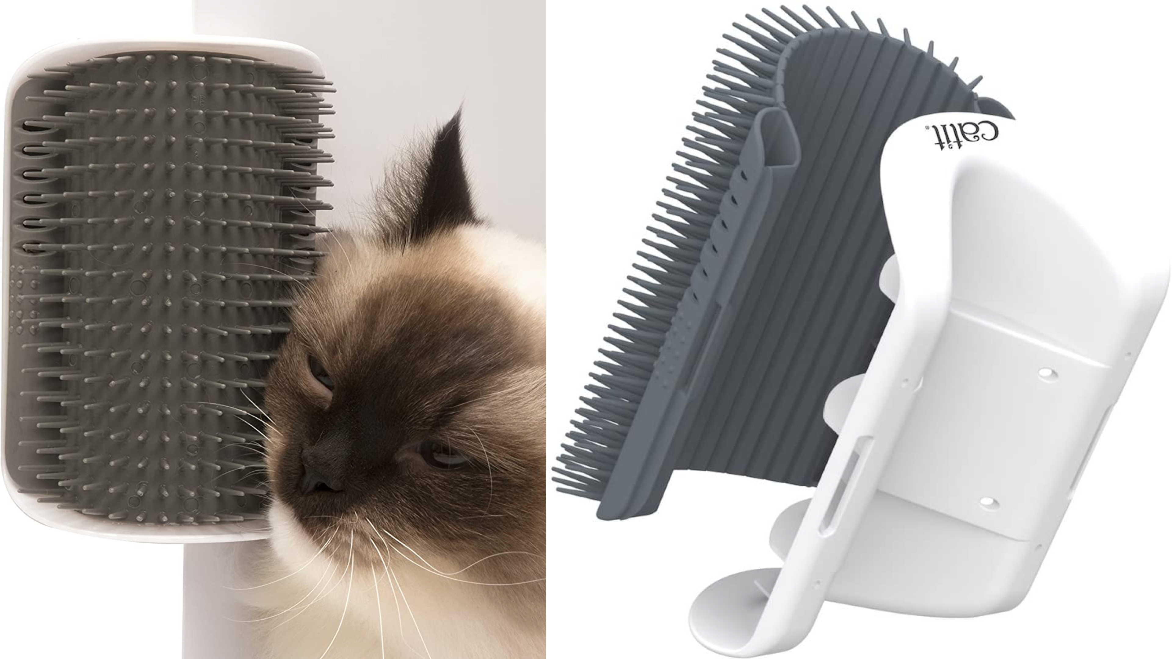 self-grooming brush for cats