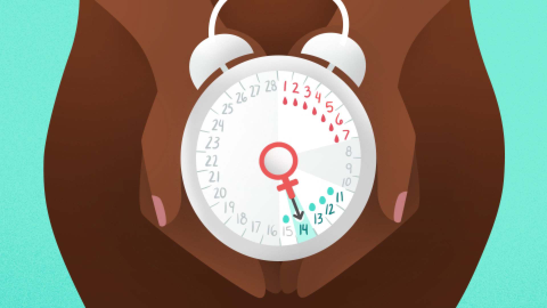 All The Ways to Track When You’re Ovulating