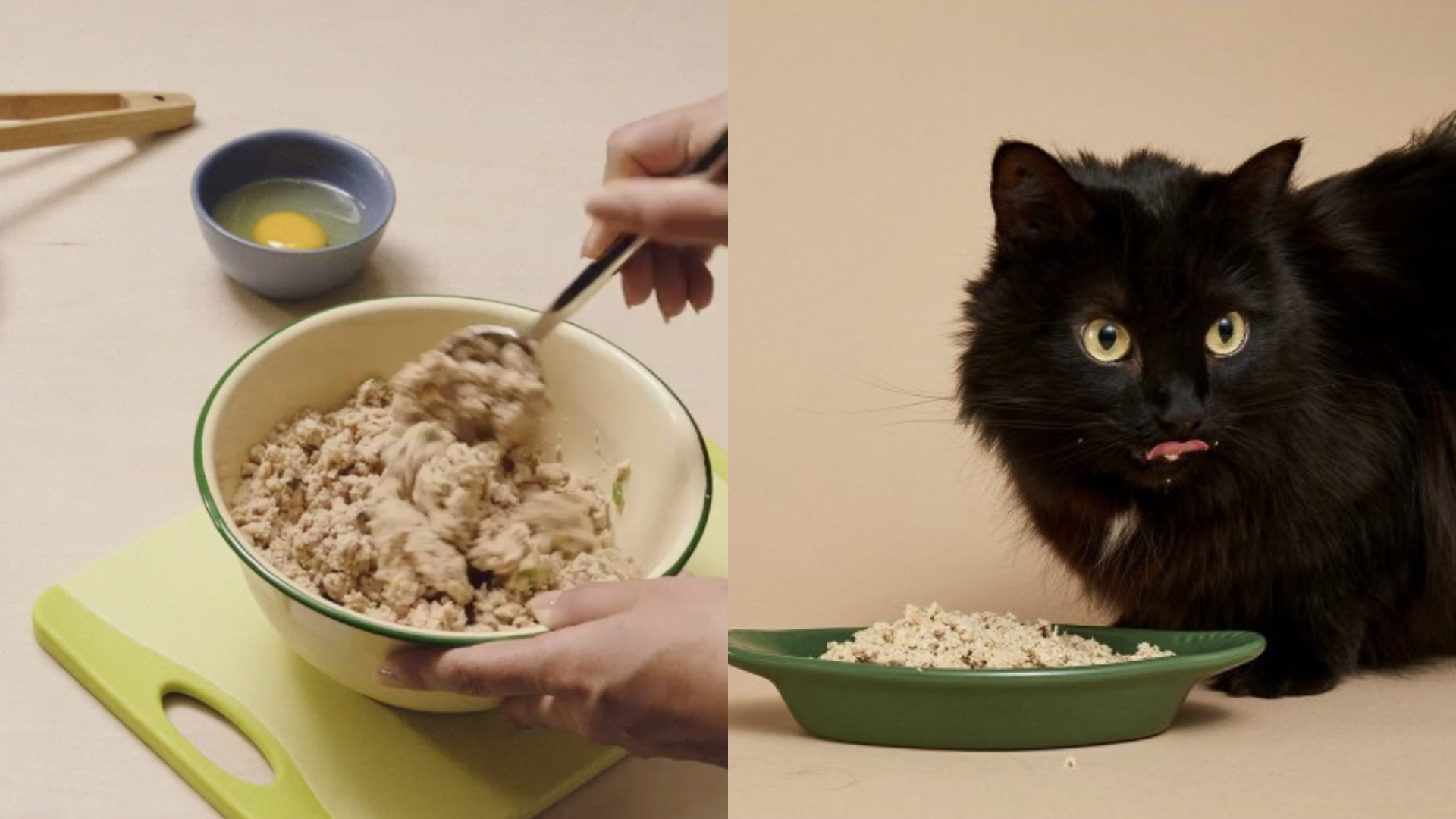 Smalls cat meal plan