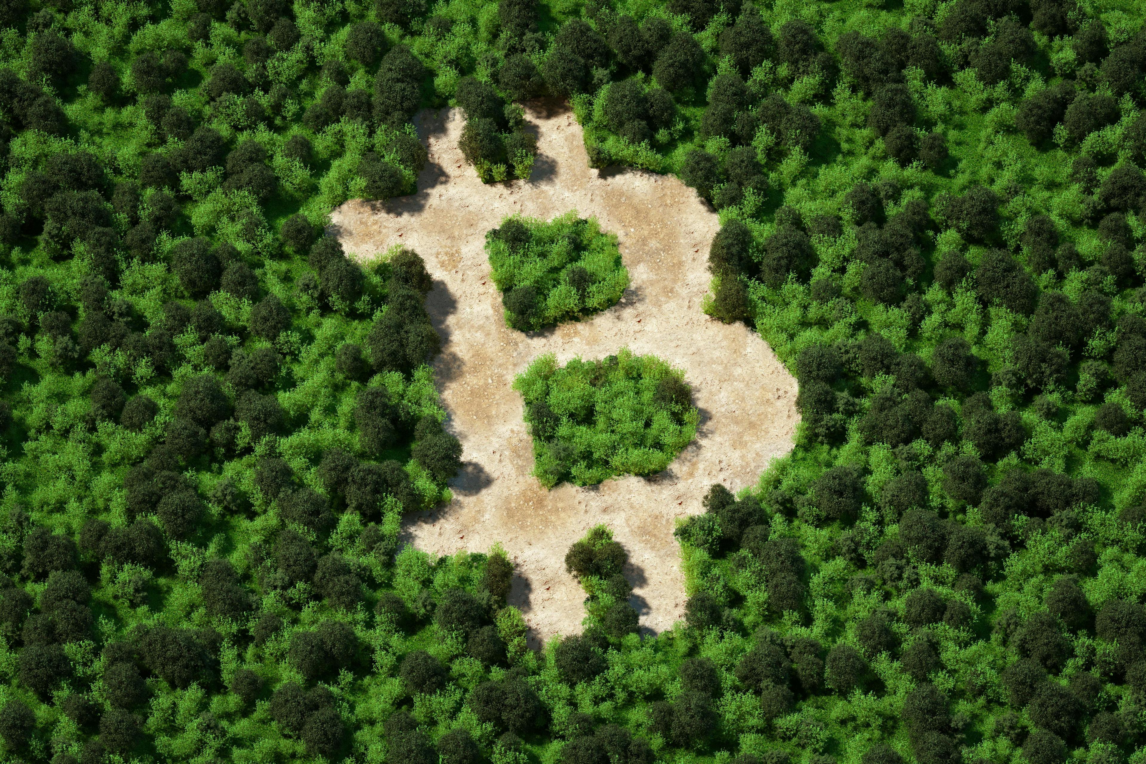 crypto bad for environment