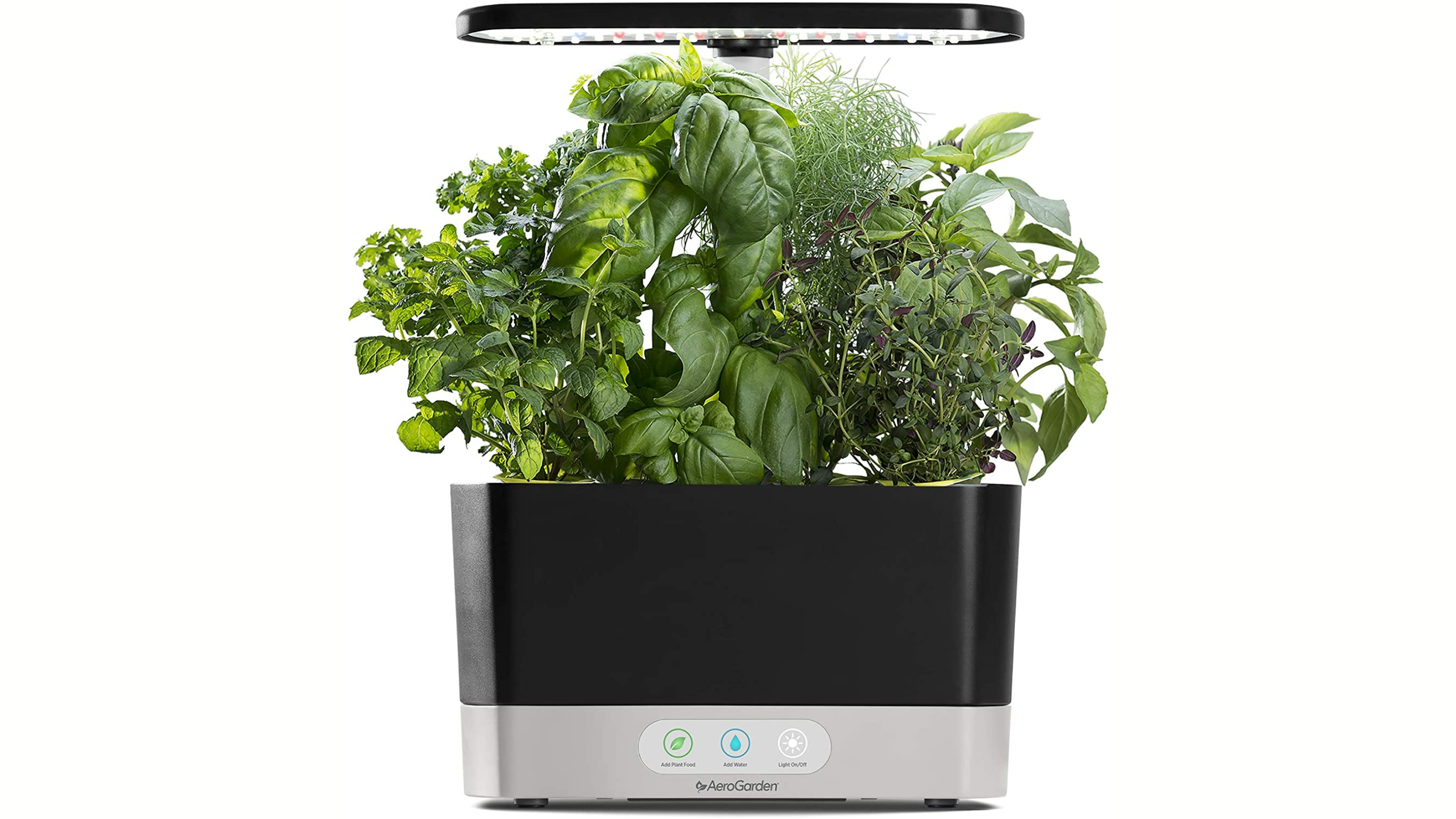 countertop aerogarden to grow herbs and spices in your kitchen