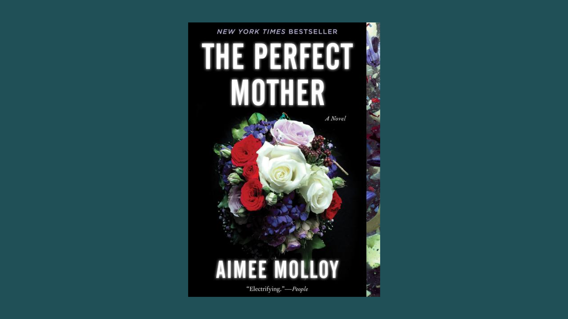 “The Perfect Mother” by Aimee Molloy