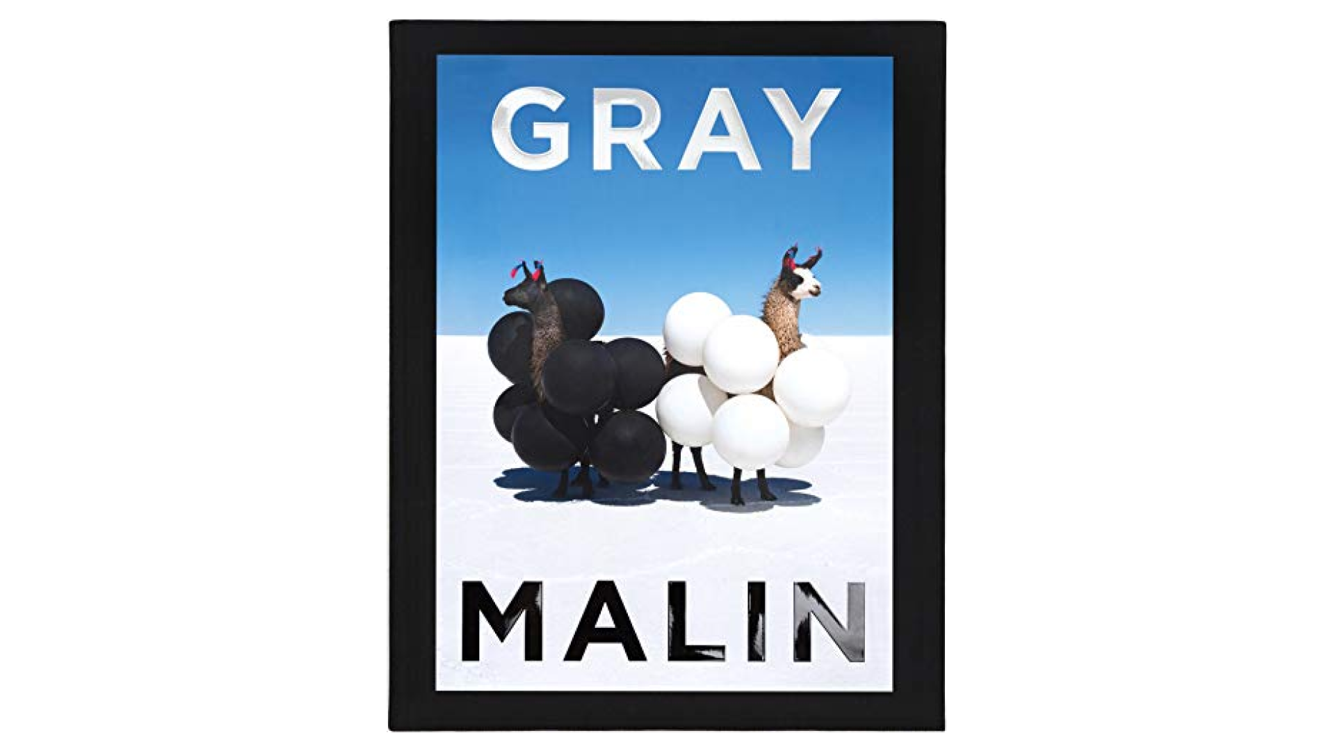 Gray Malin book