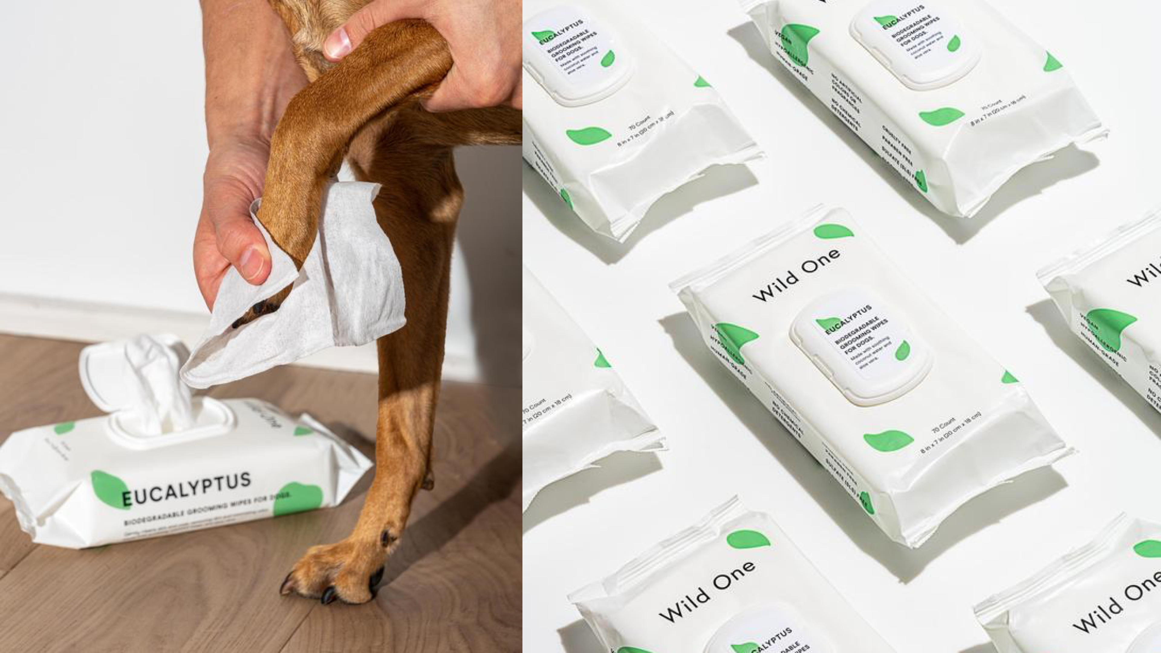 cleaning wipes for paws and dog coats