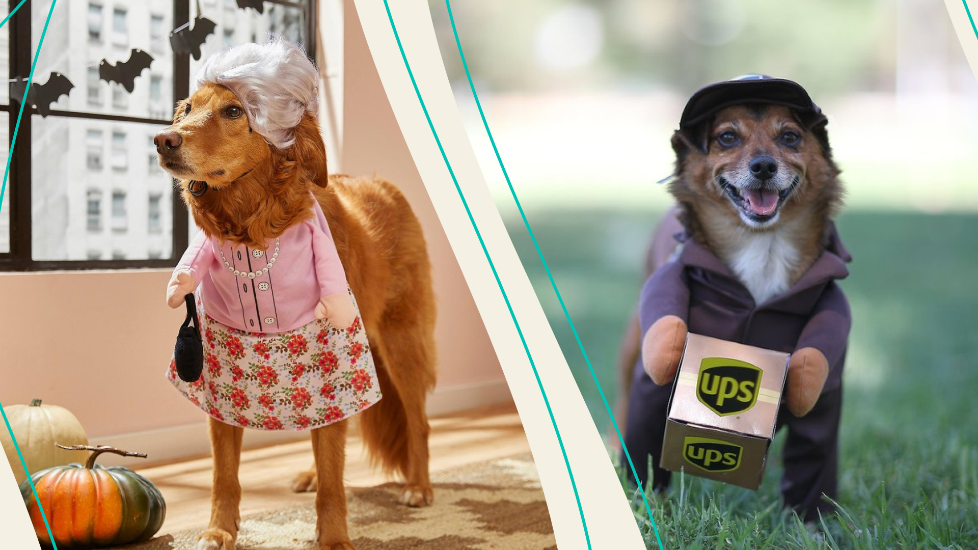 Granny dog costume and UPS dog costume 