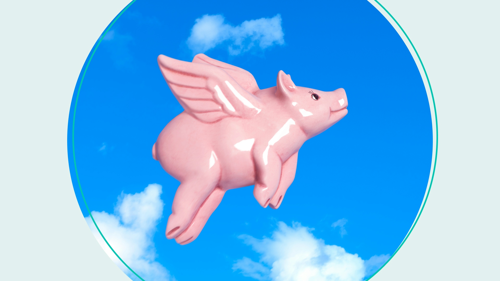 flying pig against blue sky, idiom expressing irony