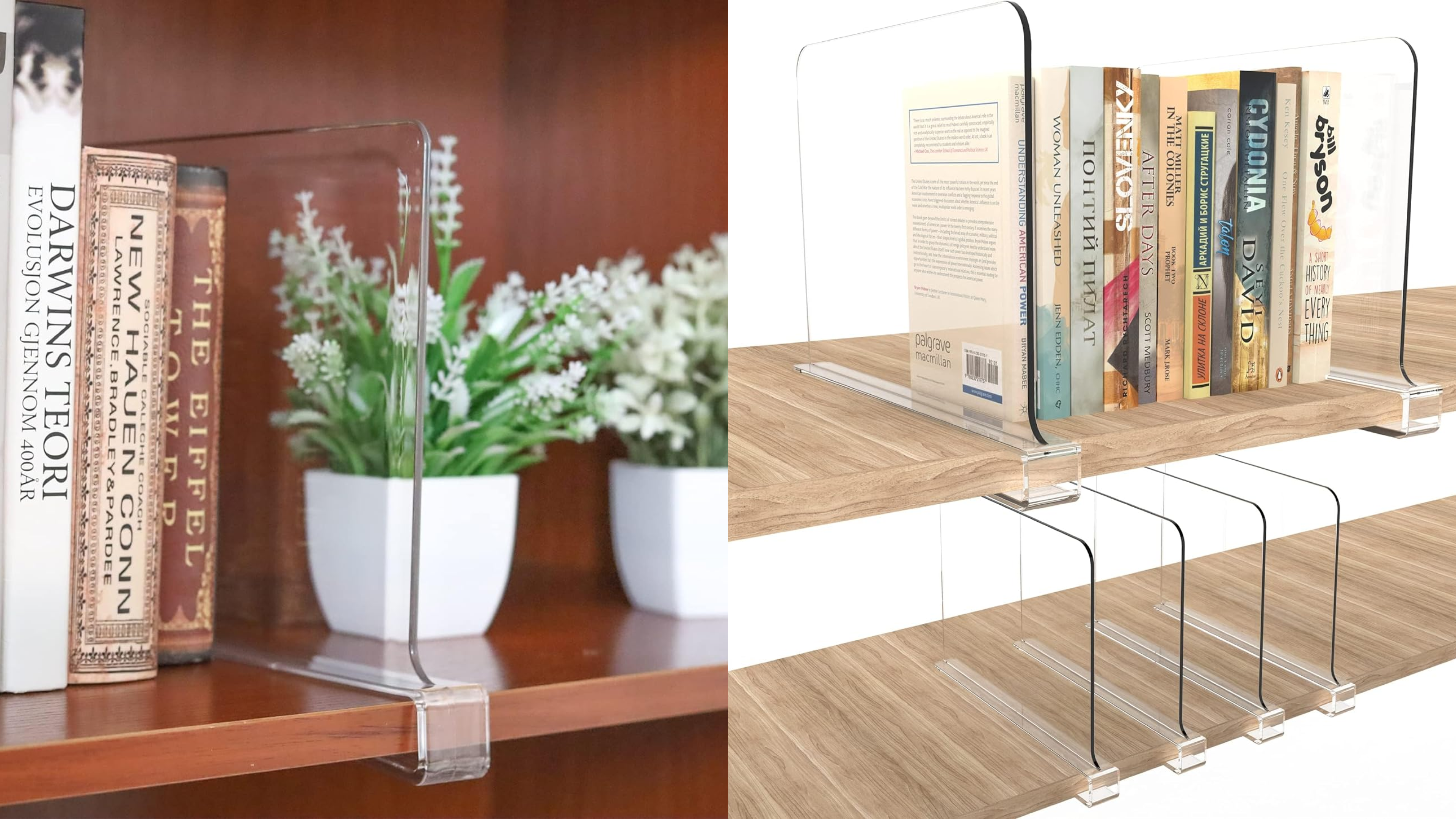 clear shelf dividers