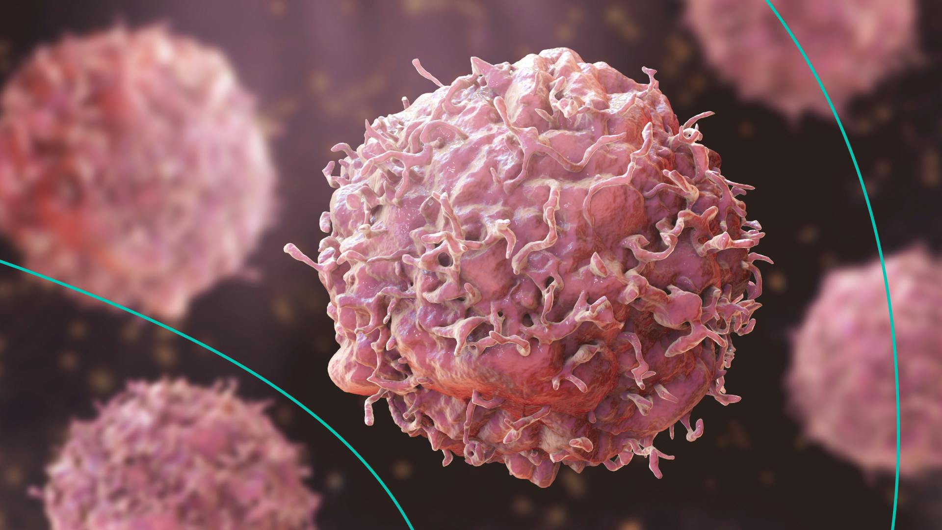 Cancer cells at a molecular level