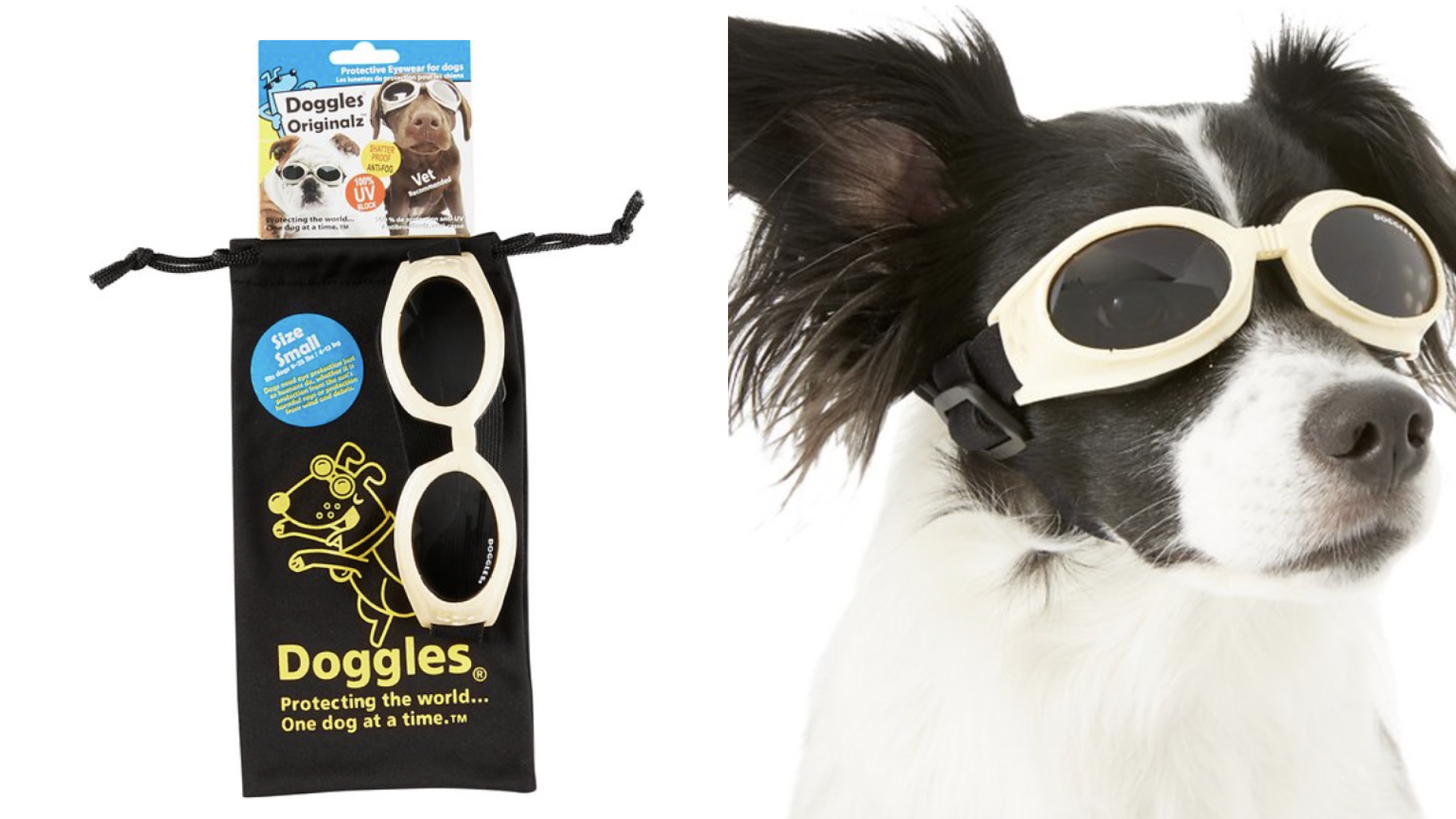 Chewy dog sunglasses 