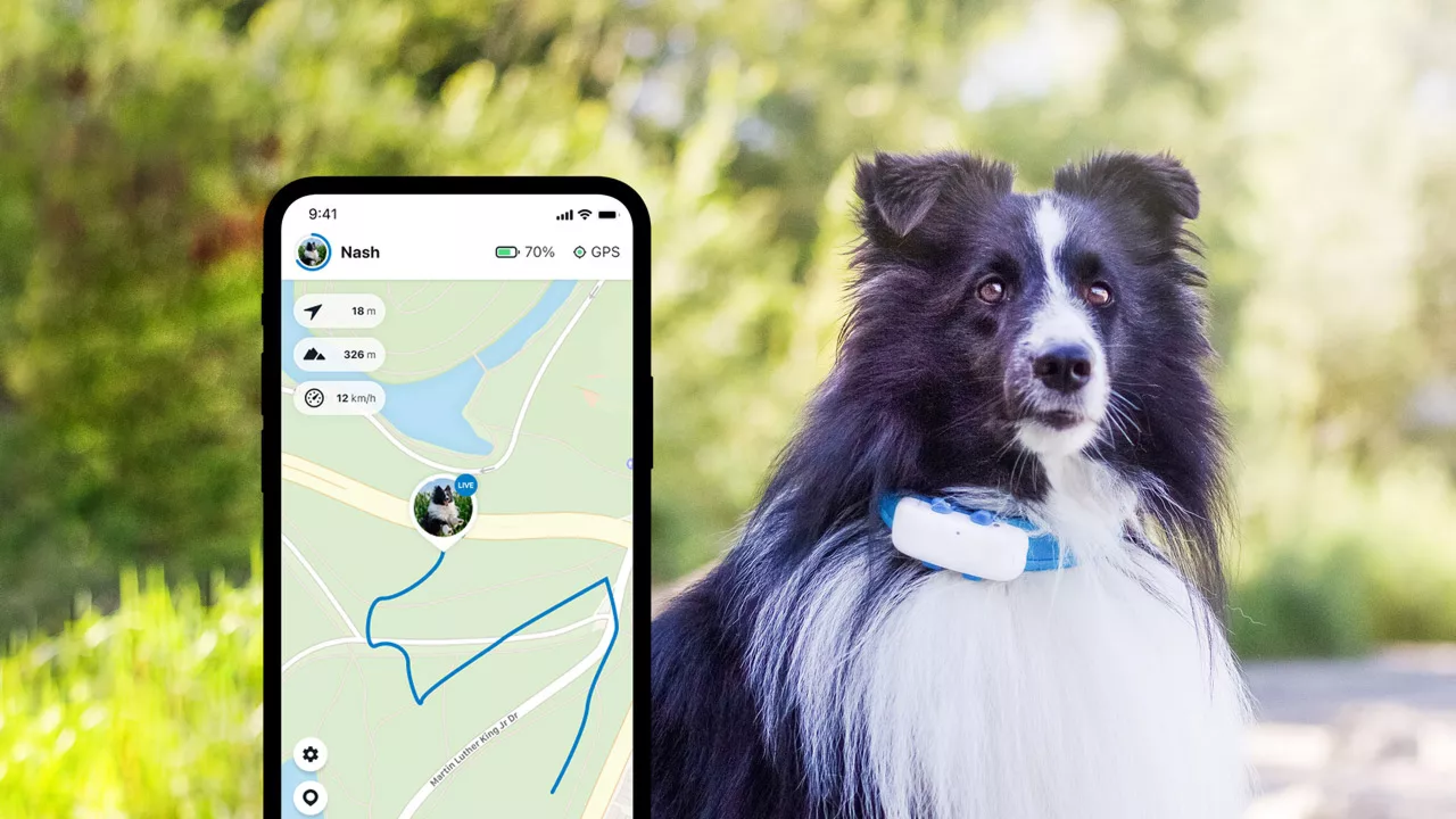 GPS collar locator for pets