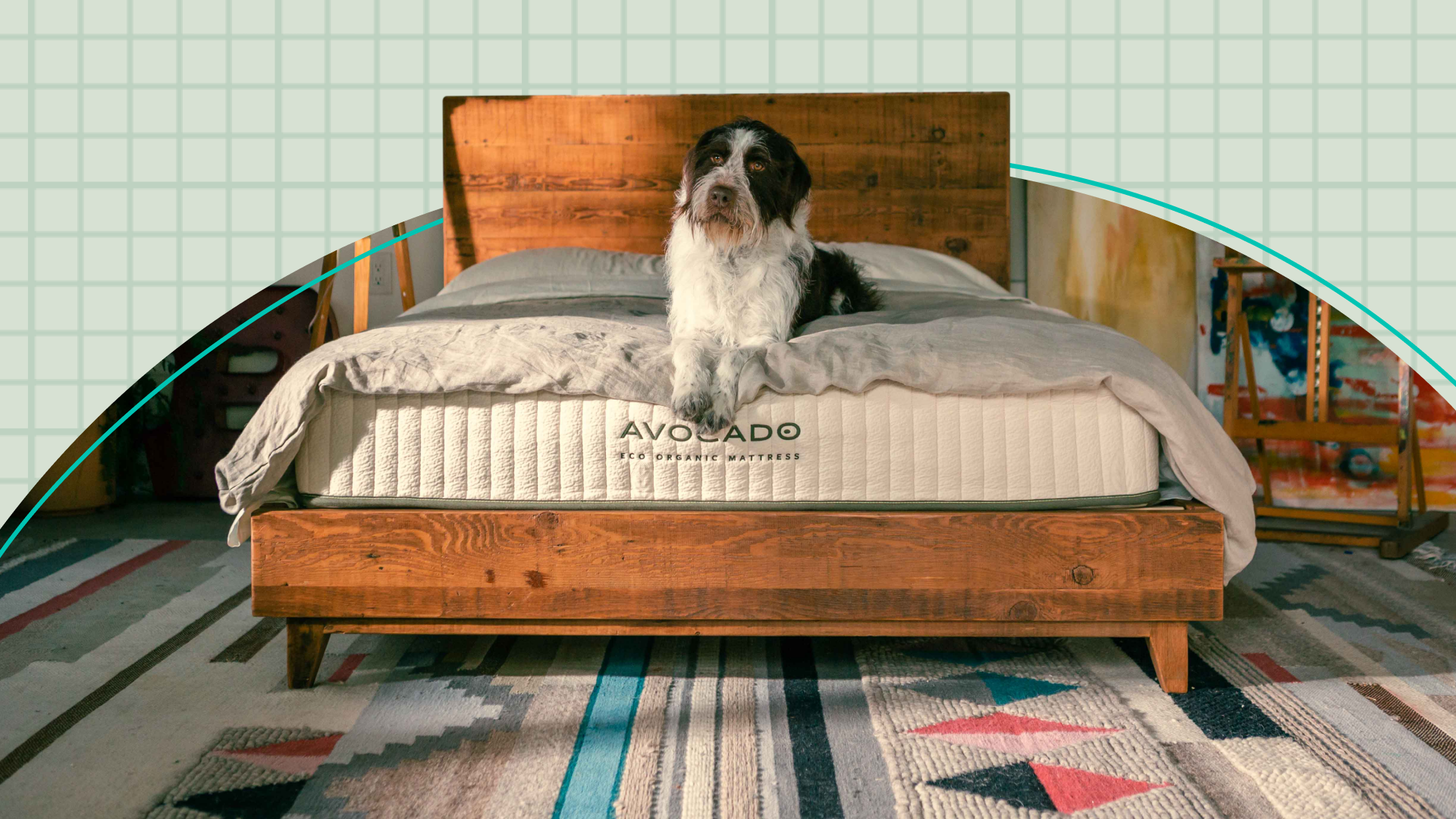 A large black and white dog lies on top of a comforter on a large bed with a wooden frame. There is a geometric-patterned, multicolor rug on the floor.