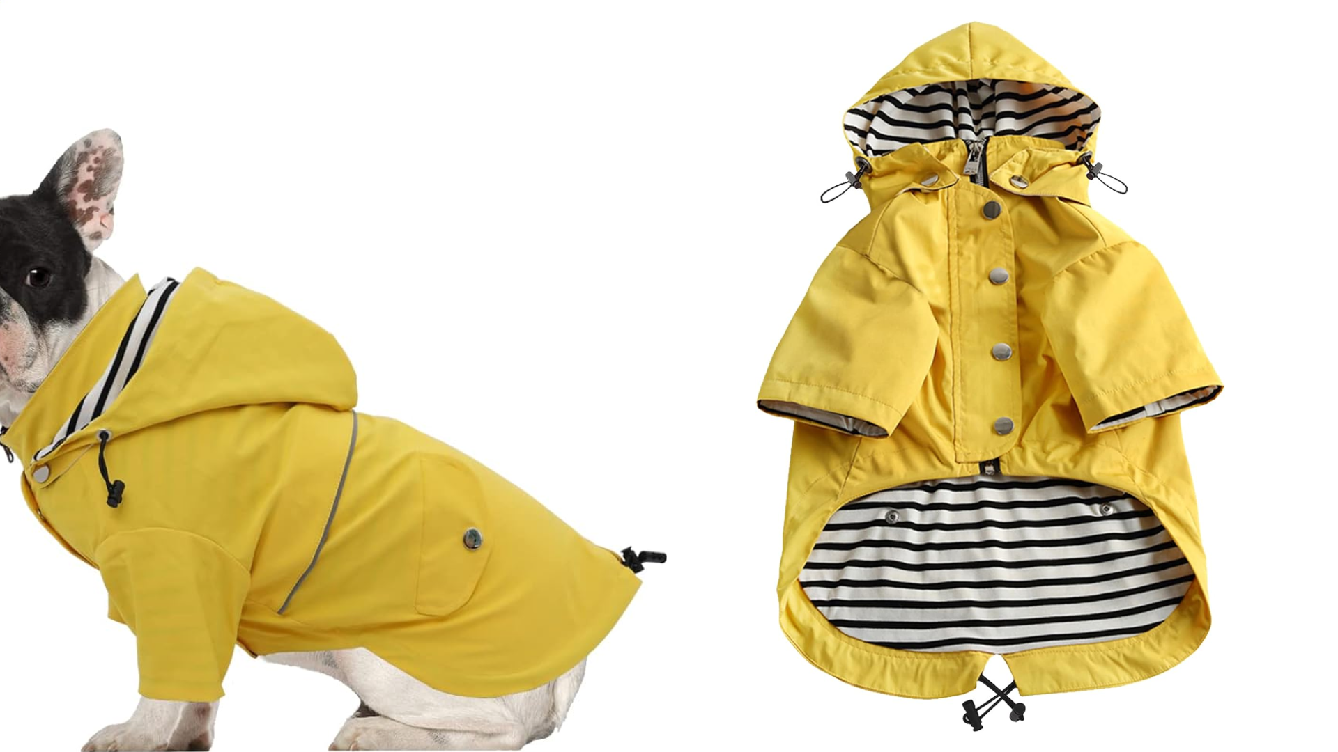 yellow dog rain coat with hood