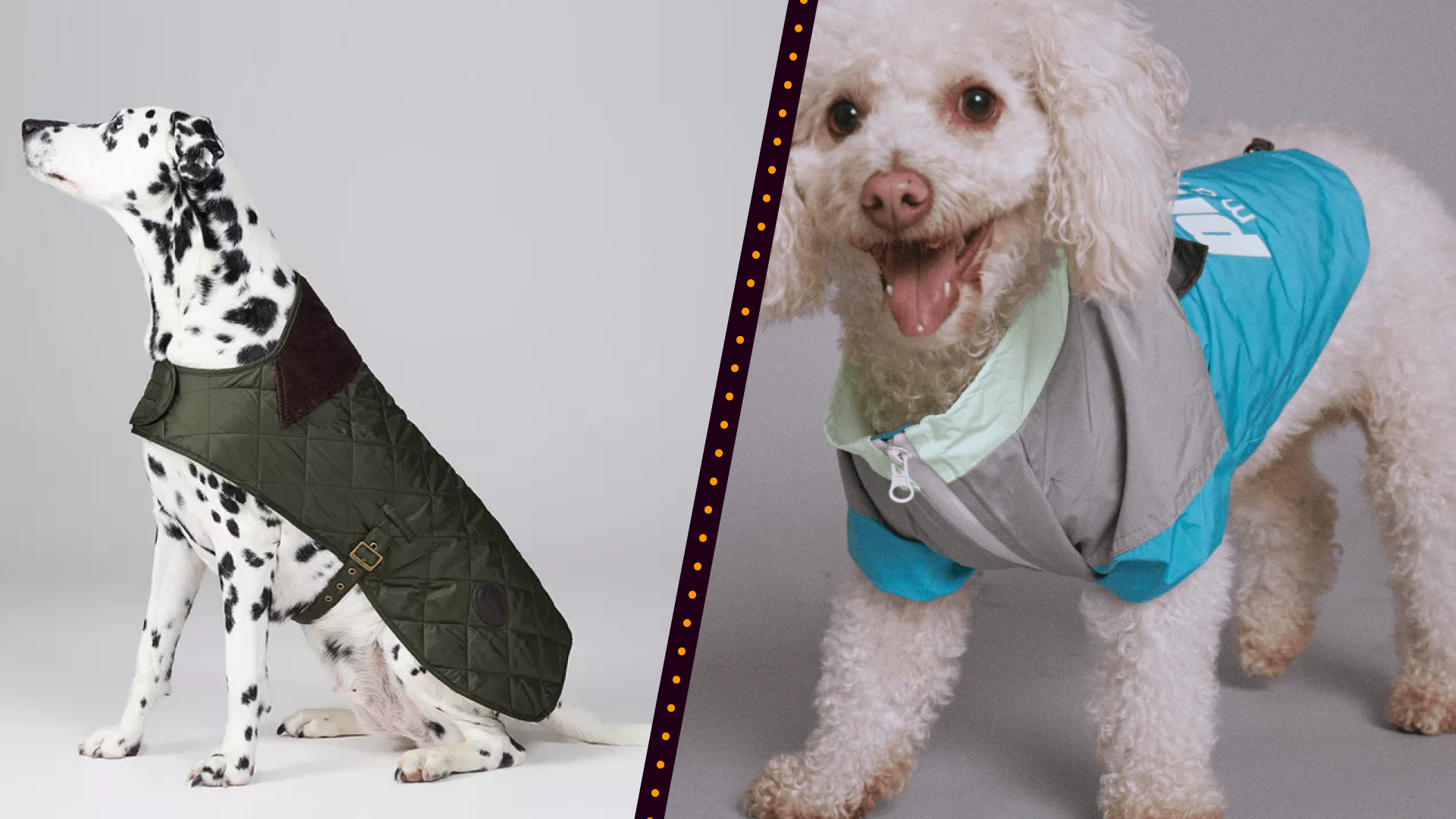 best coats for dogs