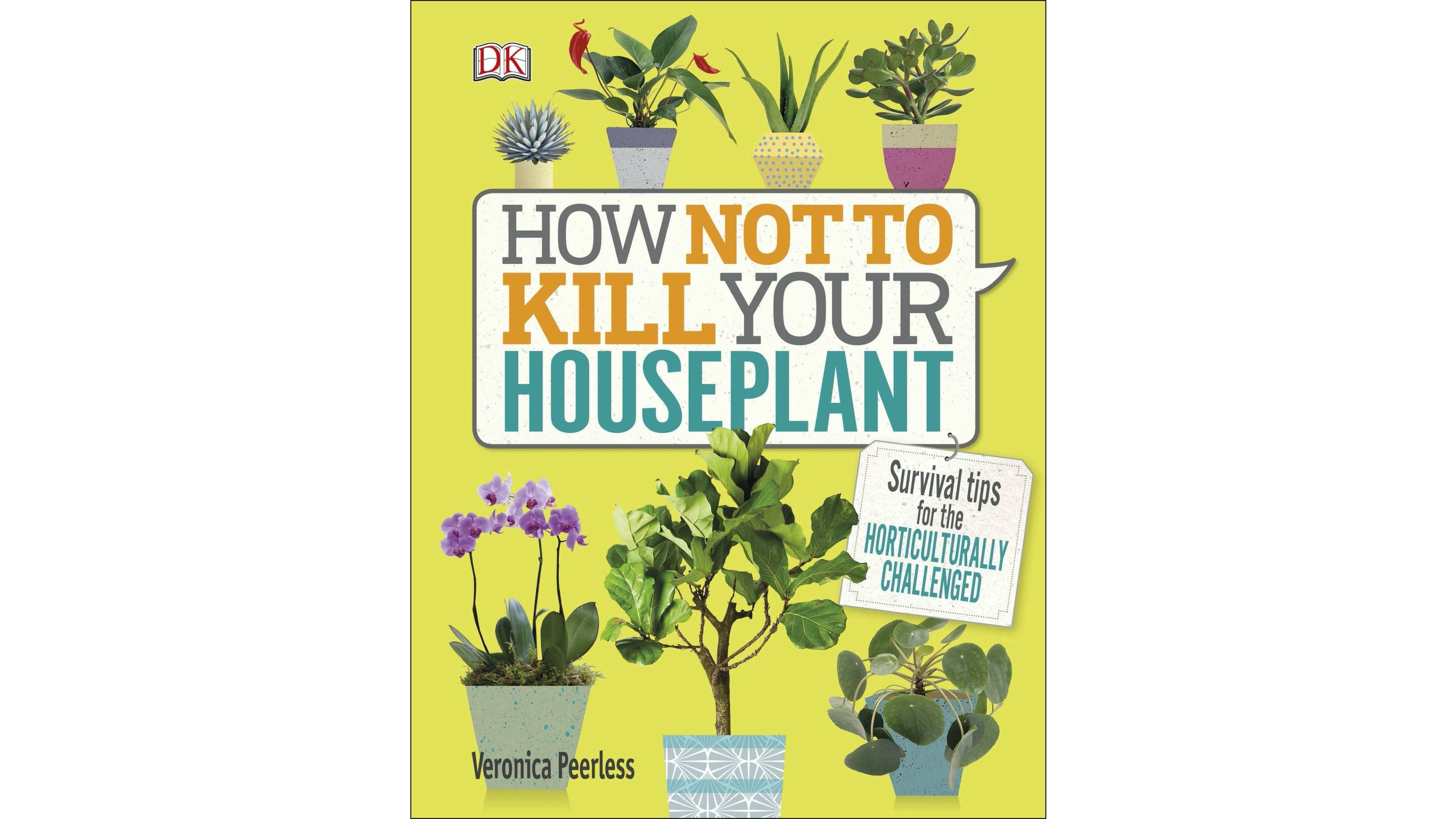 how to not kill your houseplant guide