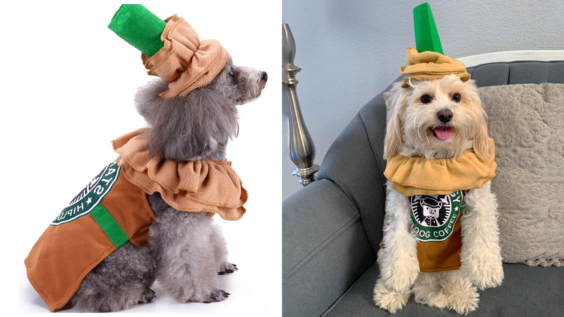 dog costumes 