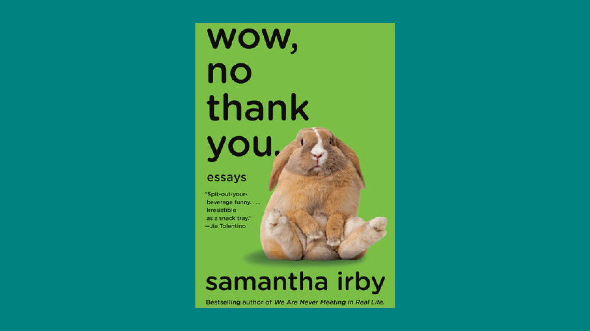“Wow, No Thank You.” by Samantha Irby 