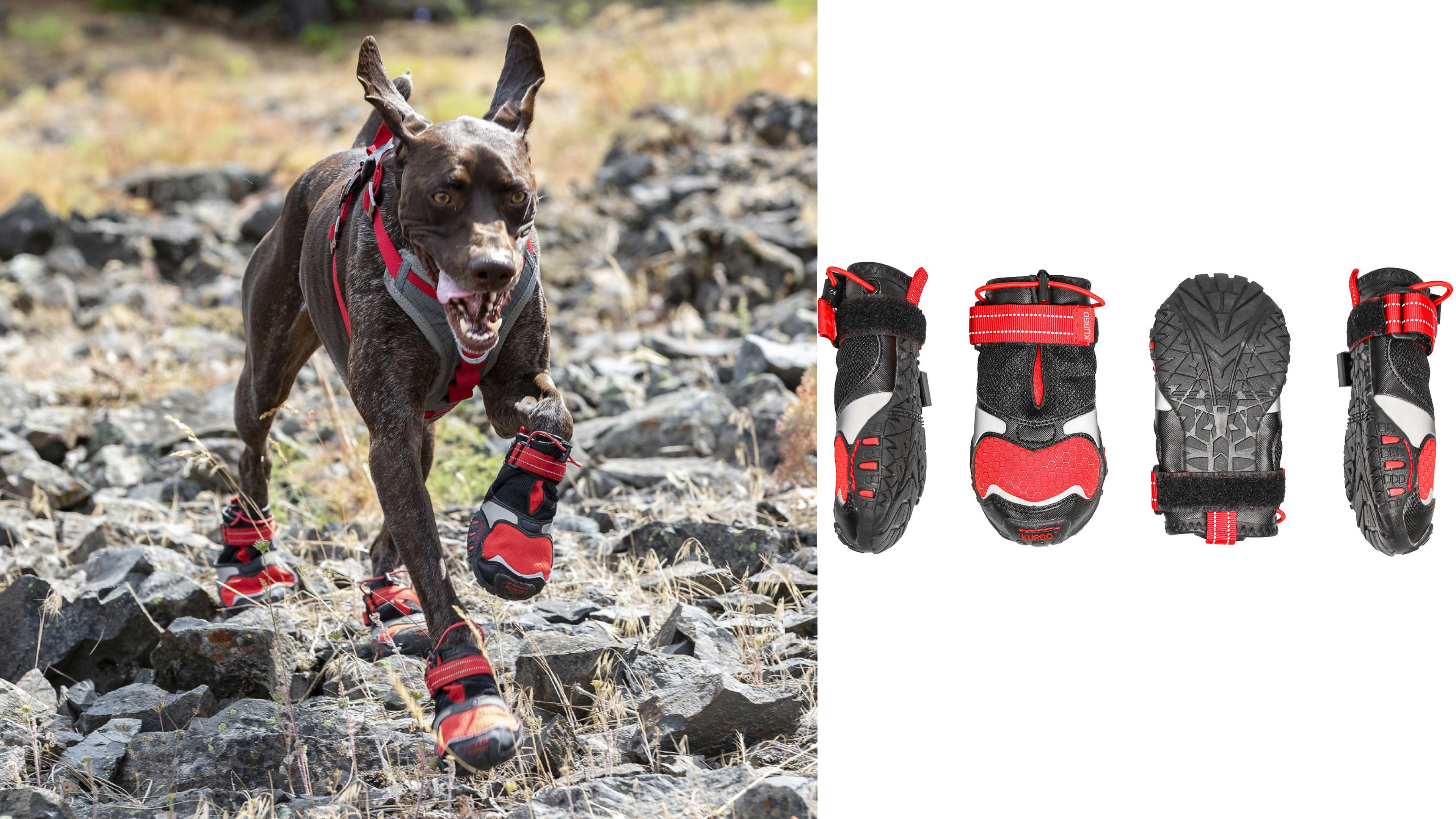 dog booties for off-terrain walking in snow, mud, and on rocks