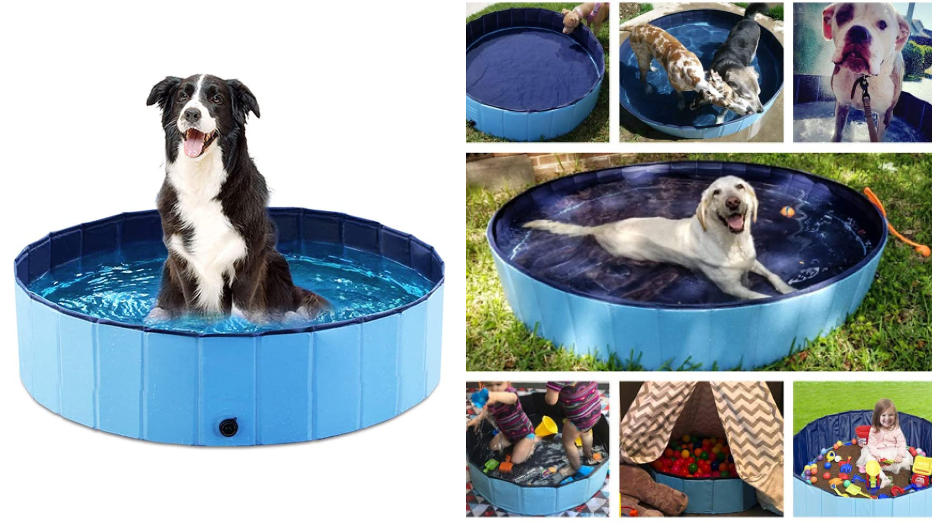 Dog pool 