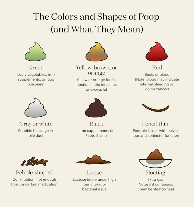 Why Is My Poop Green? And Other Poop Color Meanings | theSkimm